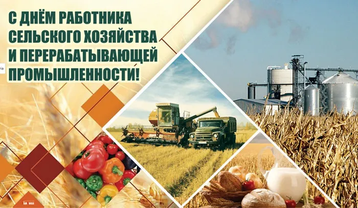 сельское хозяйство