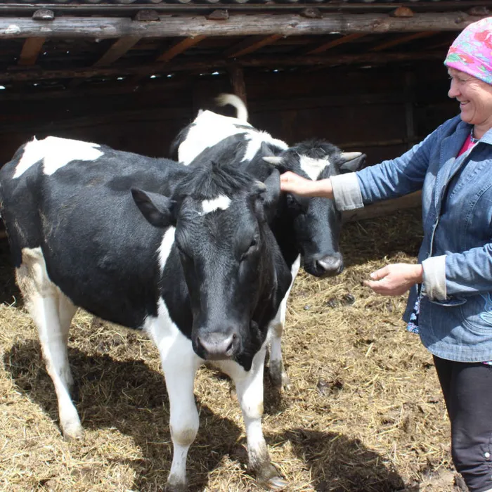 ОБЪЯВЛЕНИЕ О ПРОВЕДЕНИИ ОТБОРА