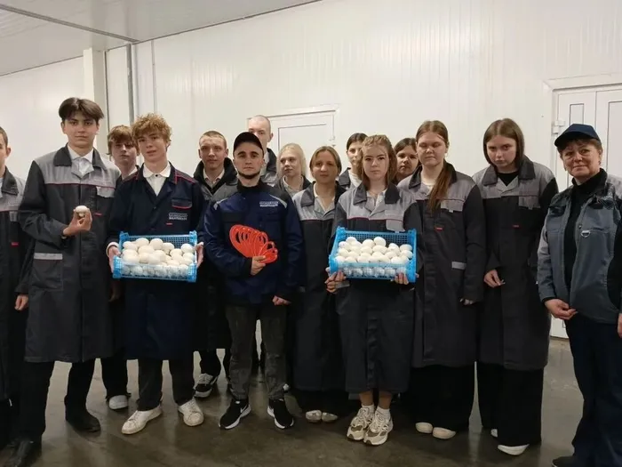 4f627fde-c360-4377-9311-872329b374c7