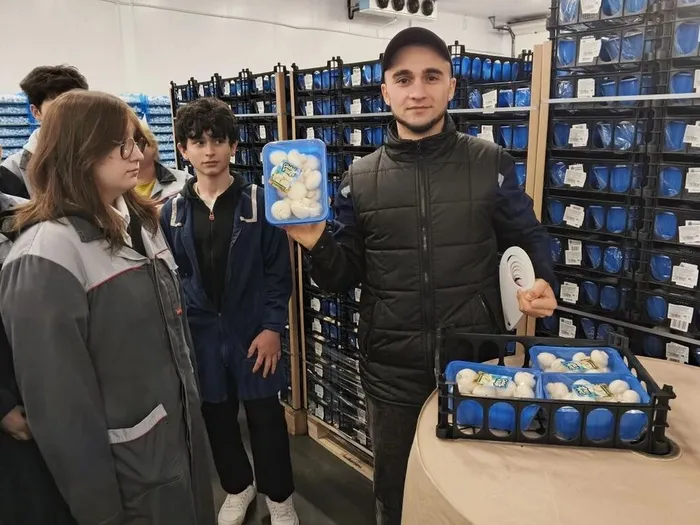 878d31a7-8e3f-4a30-9818-04c40718e52f