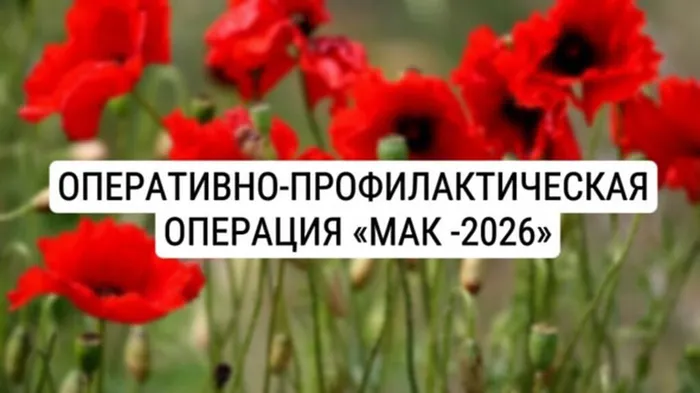 Мак-2026