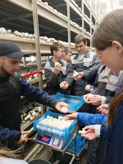 f829339d-d2ee-4c03-b247-ae69e58b77b0