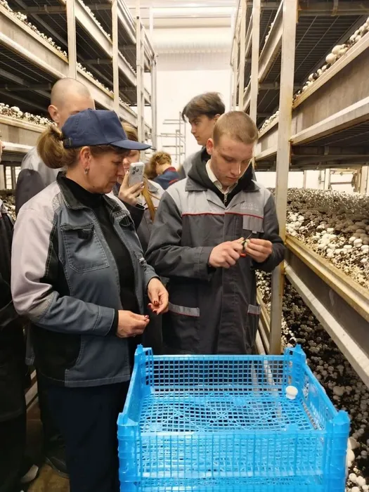 fb272356-c72b-4d54-85ce-4ff7792aecf0