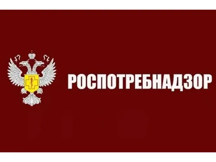 ZR9OmFl8guhnO8YYPK-adb2MyNwY_gpl-9N3ymtH_fit-in_1024x1024_filters_quality(80)_format(webp)_782329.selcdn.ru_leonardo_uploadsForSiteId_1867_content_0904a39d-6a3e-4035-898f-f086d6bfa65a
