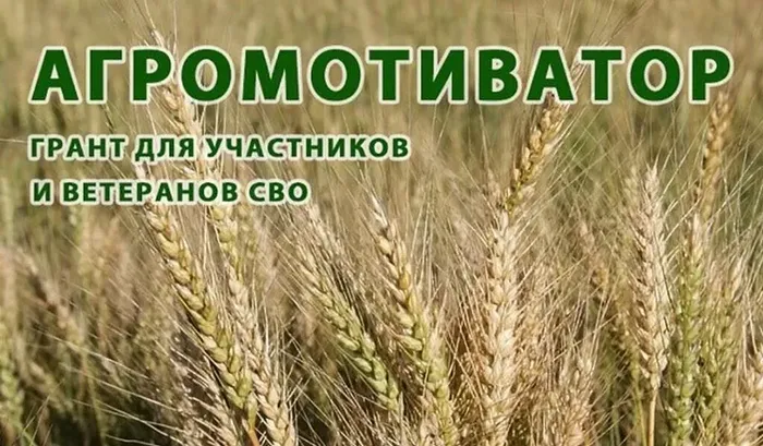 0Ol3uePWIIomk9149f1f1zR_SM_tE5WVITGWWGtp_fit-in_1024x1024_filters_quality(80)_format(webp)_www.leocdn.ru_uploadsForSiteId_1867_content_841f2ca3-119b-43fa-9f8f-20a53d0bd736