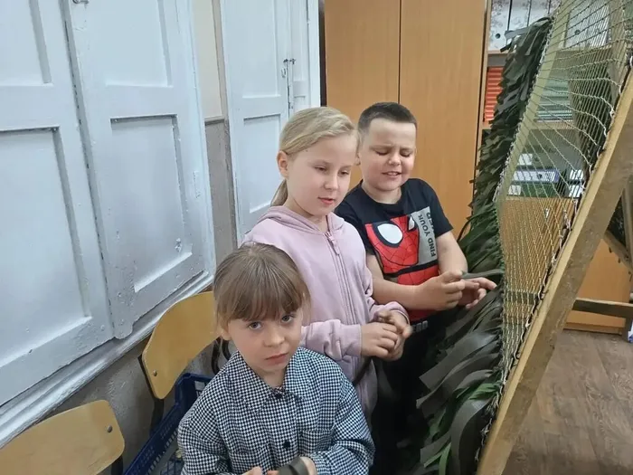 3a0c8d25-9500-4e6c-b81f-a3ee94807799