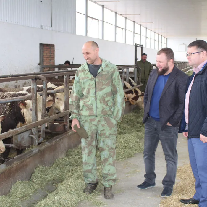 Развитие животноводства в Крыловском районе