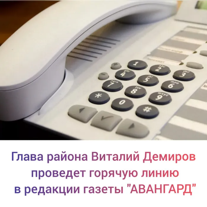 Обратите внимание! Горячая линия с главой района